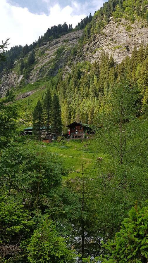 Apartamento Eberl's Zirbenlodge *